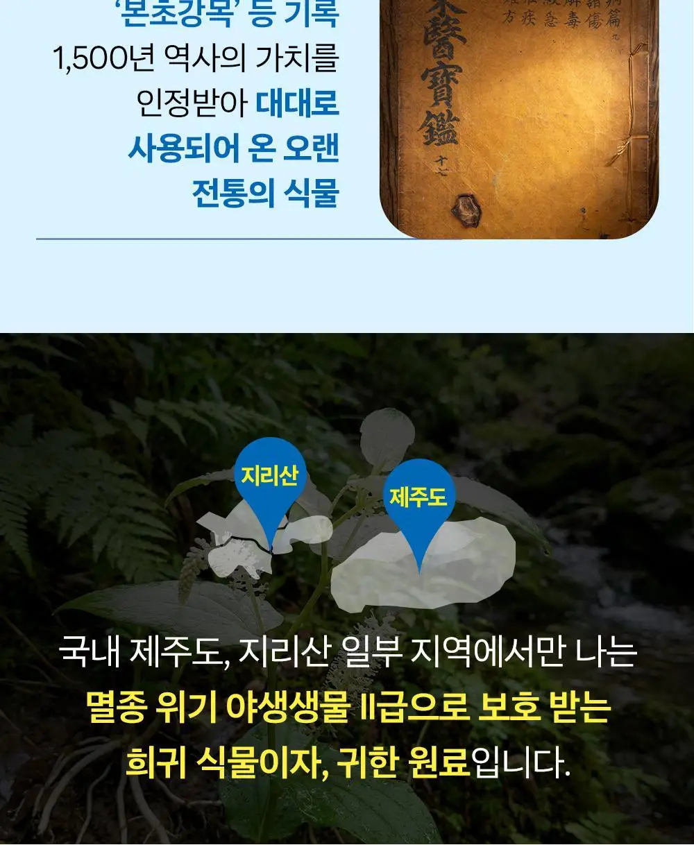 [올영단독/코상태개선] 대원제약 대원헬스 삼백초추출물 코편샷20g x 12포(12일분) 상세페이지 5